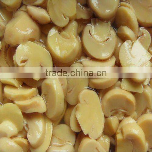 shiitake mushroom in brine