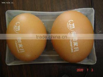 CO2 Laser Marking Machine 50W 200*200mm wood glass burning machine