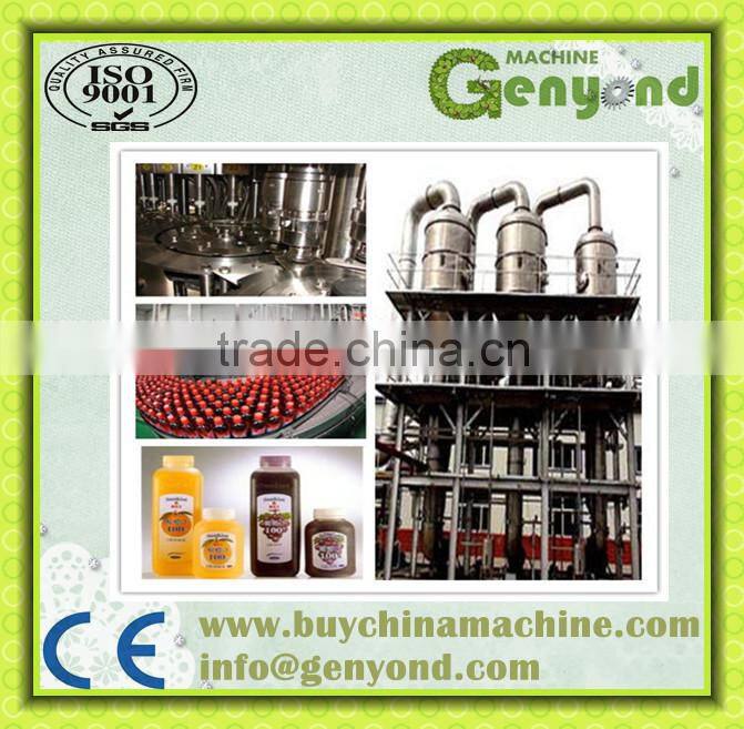 Professional automatic fresh fruit juice production line (Turkey Project)