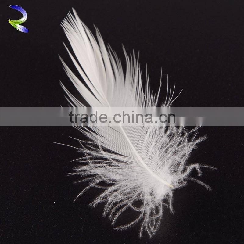 Durable nature washed white goose feather from china