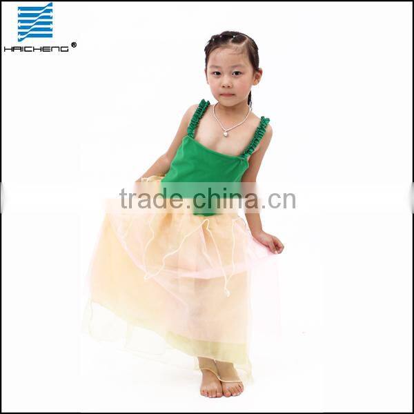 Princess dress costume for party DC017