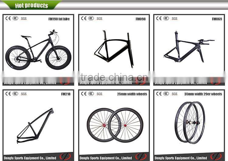 Dengfu FM208 super light frame bike with nice design