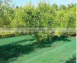 HDPE agriculture net