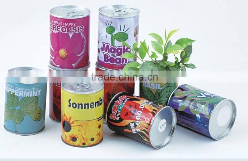 novelty gifts magic bean with logo, make magic beans, message growing bean