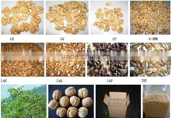 Supply Chinese walnut kernels light halves with good auality for sale