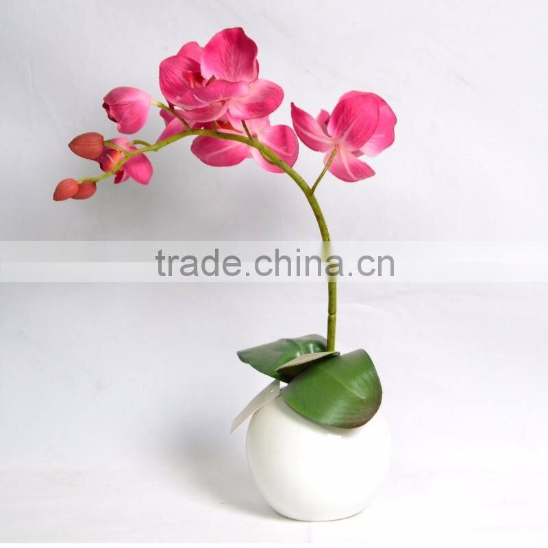 Single-stem Phalaenopsis Silk Orchid Plant