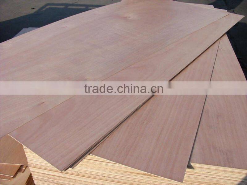 Competitive Prices for 18mm Construction Plywood
