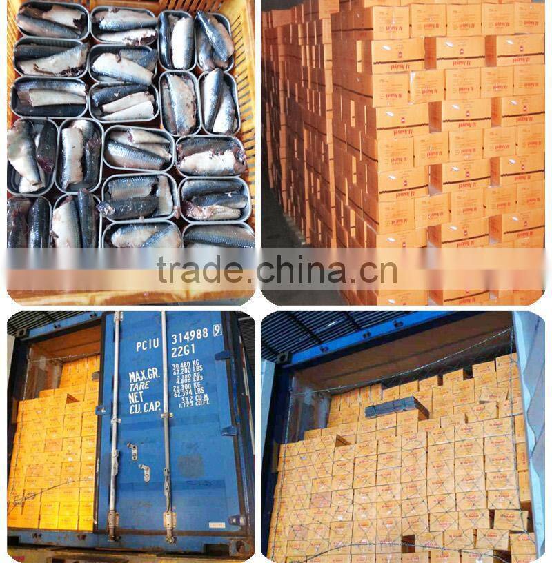 good quality sardines morocco in vegetable oil 125gX50tins