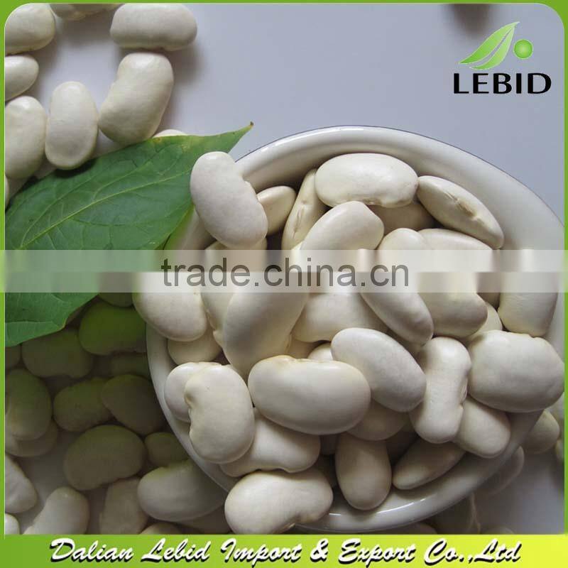 Large White Kidney Beans / Butter beans 2014