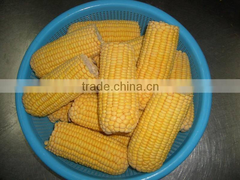 IQF frozen chinese yellow corn sweet corn on cob