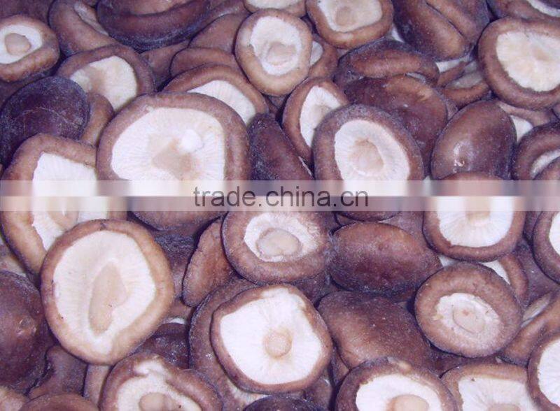 IQF Frozen Shiitake Mushroom Whole/Cuts/Slices