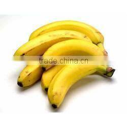 Fresh Sweet Banana