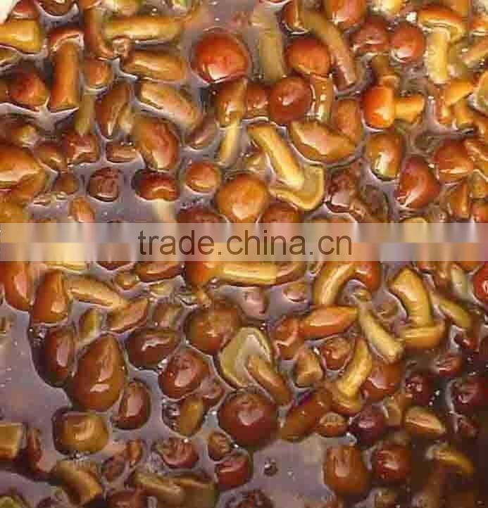 salted nameko mushroom in brine