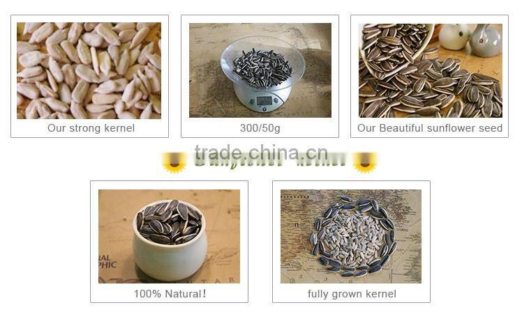 Chinese sunflower seeds kernel market price on sale