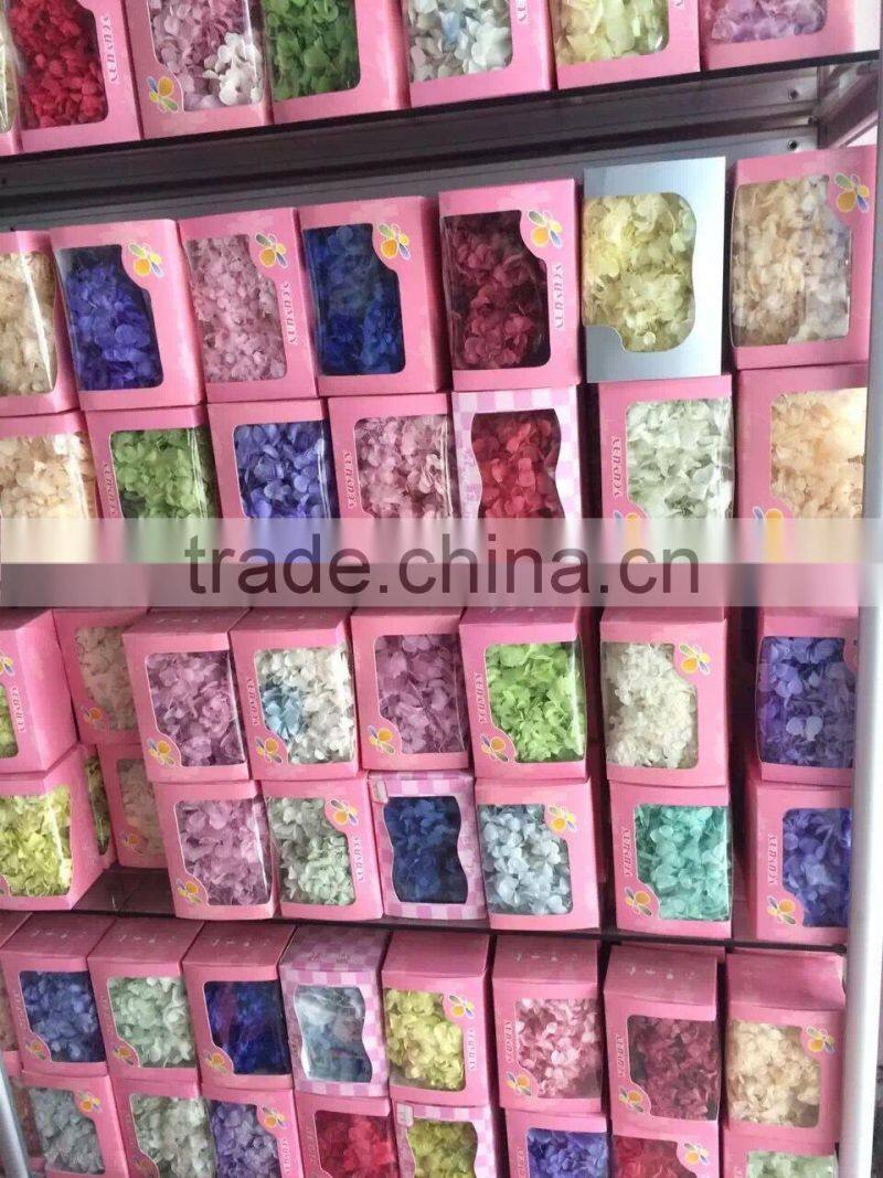 2016 Newest gold flower hydrangea preserved flower hydranger Fresh flowers farms directly
