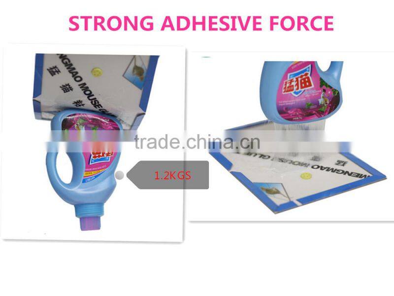 Mouse Glue Boards Rat Glue Board