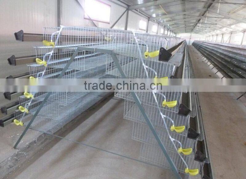 6 Tiers Layer Quail Cages For Sale