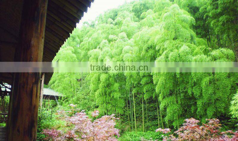 Chinese bamboo hand fan wholesale for business gift