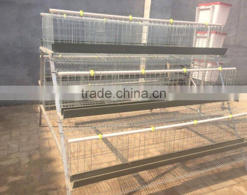 Better Factory A and H type bird chicken layer cage