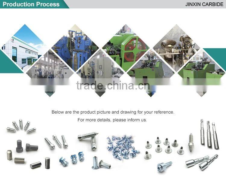 Polished Antiskid Tire Stud Carbide Pins Studs Nails
