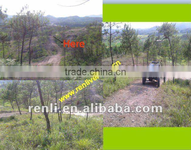 renli 2015 1500cc street legal buggy for sale made in China