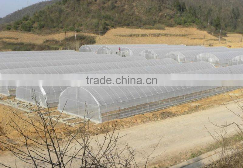 Hot sale film agricultural greenhouse