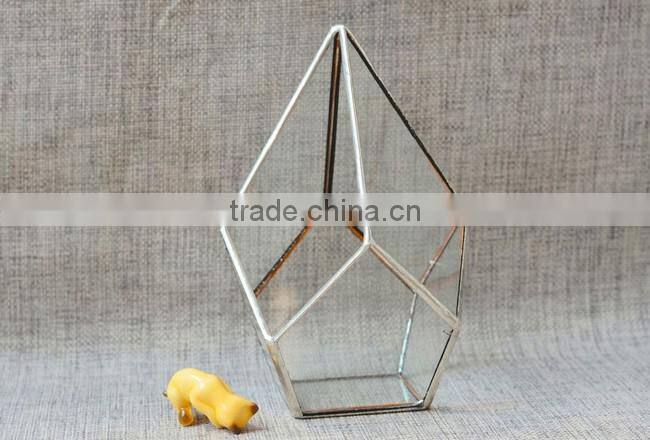 Pyramid shaped glass terrarium for indoor plant holder