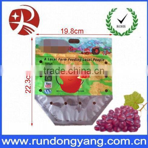 CPP plastic stand up pouch slider zip lock protection fruit bag for grape