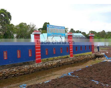 Sell Gracilaria, Euchema Spinosum And Cottonii Seaweeds