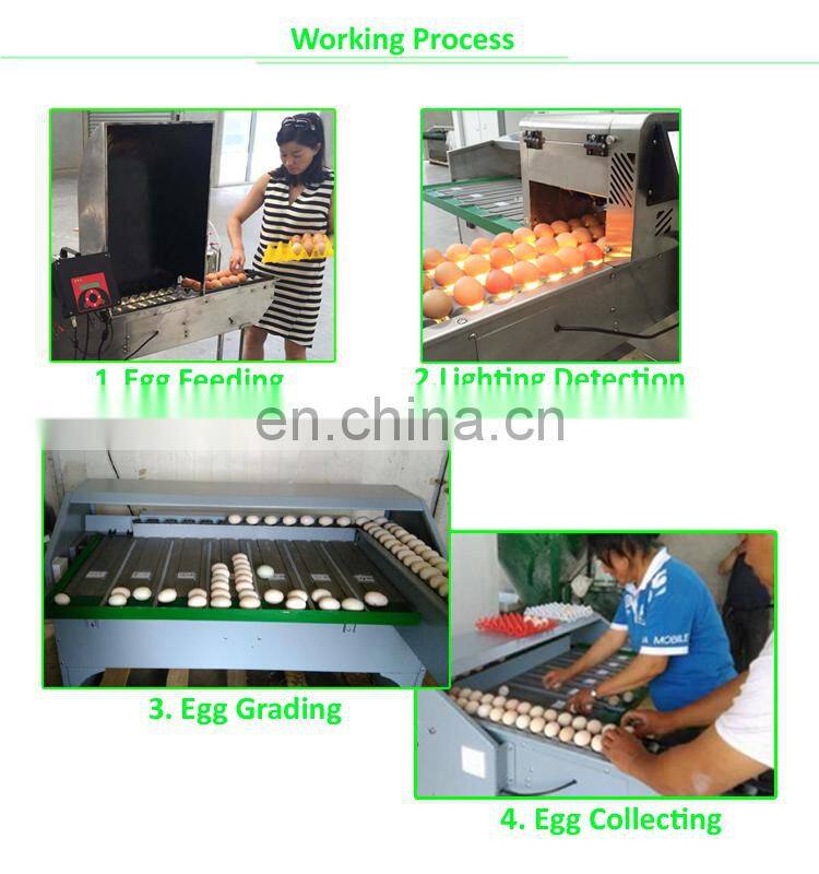 Grande Best Selling High Efficiency Automatic Egg Electric Sorting Machine