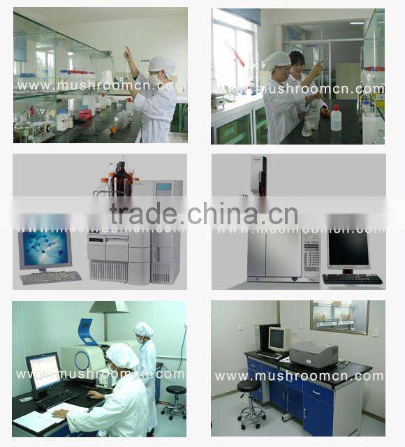 2011 Wild chanterelle mushrooms