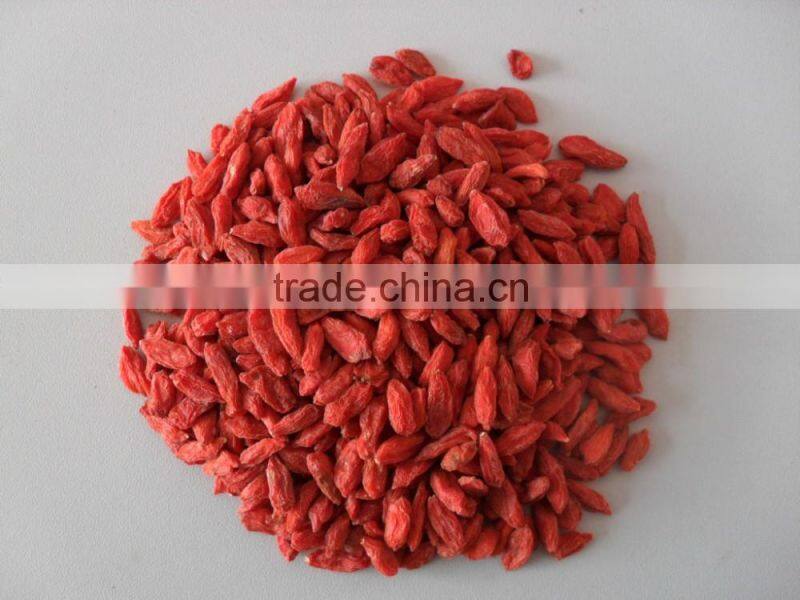 Chinese Ningxia goji berry