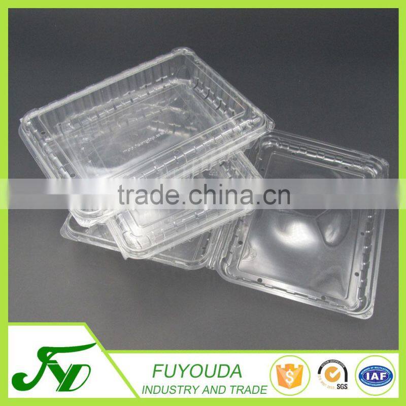 Fashion design clear takeaway plastic fruit container
