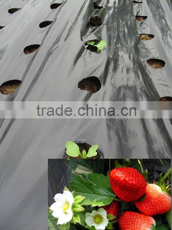 Lowest price with high quality agricultural black mulch film uv polyethylene film