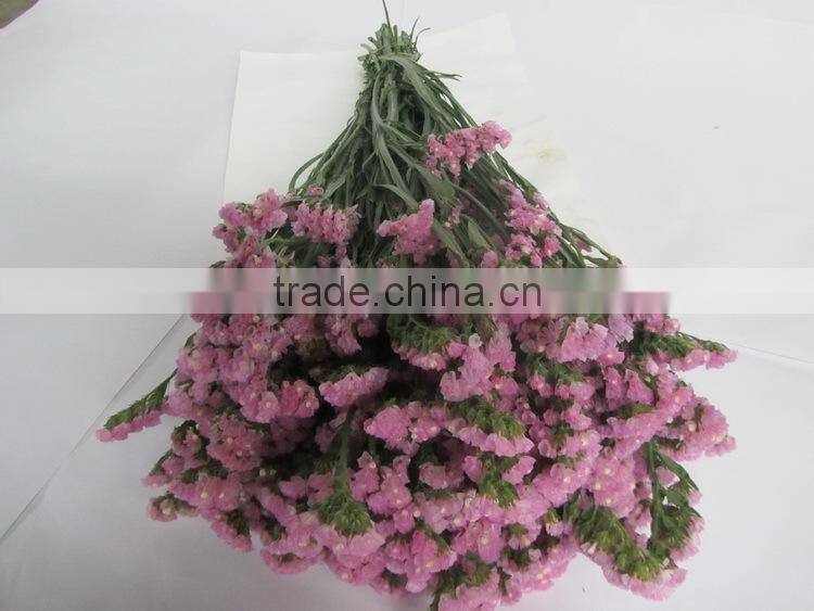 Fresh factory direct fresh cut myosotis flower