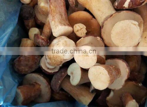 Frozen style boletus edulis whole A grade
