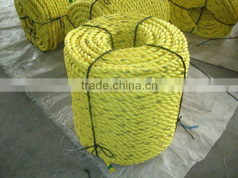 PP Danline Rope
