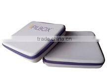 2013 EVA brief business case