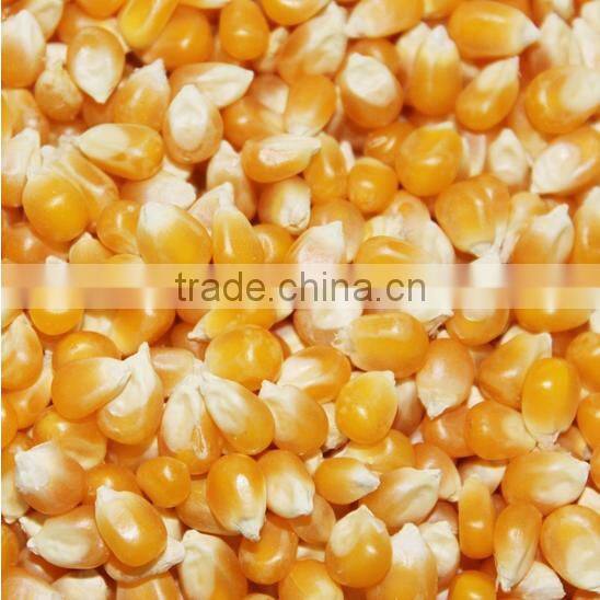 High quality popcorn machine
