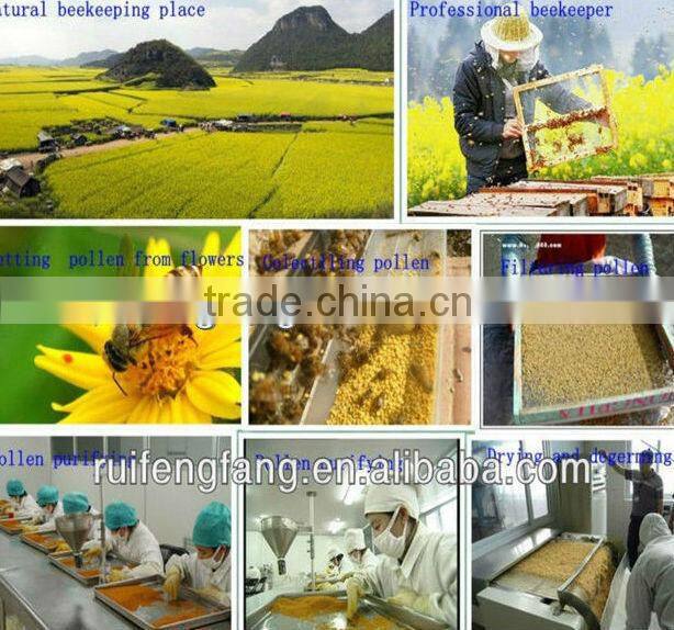 from excellent manufacture pine bee pollen with competitive price