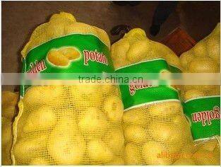 PP Mesh Bag 50*100cm packing for vegetable