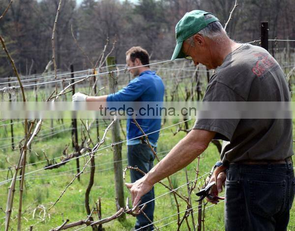 fruit picker harvest grape scissors pruning shears