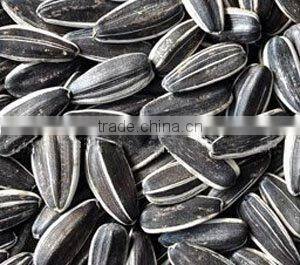 Black Sunflower Seeds 5009