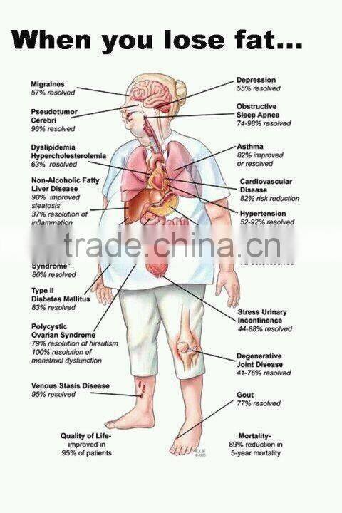 3 IN 1 portable massage tools ,aesthetic liposuction vacuum slimming machine