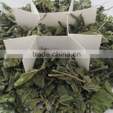 Mulberry leaf natural herbal tea