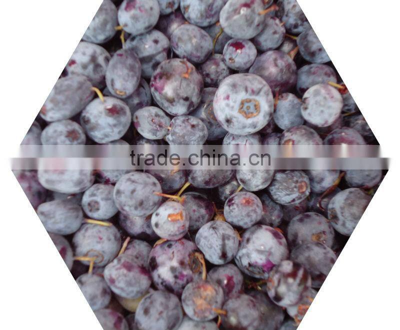 Professional manufactory supply Chinese bilberry P.E/ blueberry spray-dried fruit powder free sample supplied