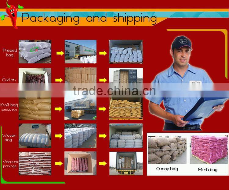 Chili powder mill machine equipment electric chilli grinder electric herb grinder