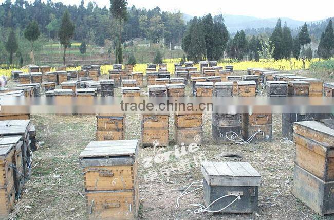 hot sale customized two levels beehive