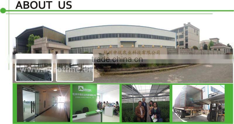 Hydroponic glass Greenhouse