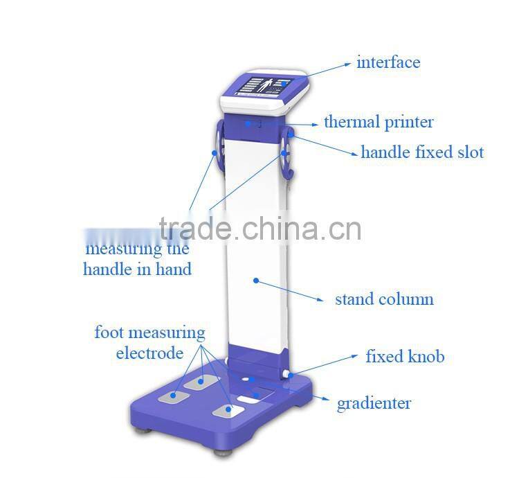 Professional body composition analysis machine/body analyzer machine